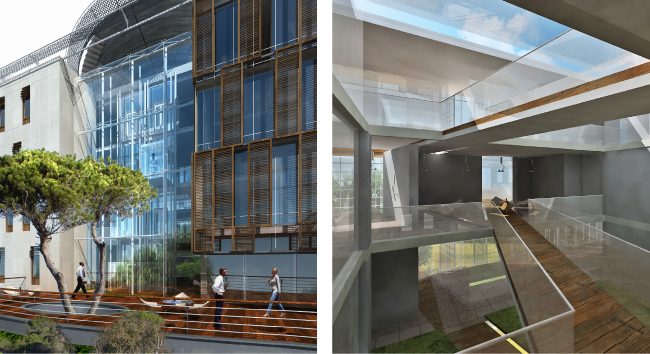 Nsanda Projects 15 A 11L01A Golden Grain 5